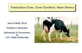 Transition cow, cow comfort and heat stress -- Jack Britt