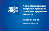 Agile management. теория и практика спасения крупного проекта (1 из 3)