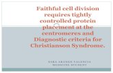Faithful cell division requires tightly controlled protein placement
