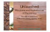 Unleashed – Waratahs and Kookaburras in the Library