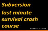 Subversion  last minute survival crash course