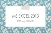 Ms excel 2013 data management