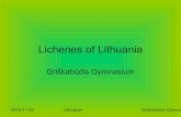 Lichenes of lithuania