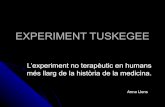Experiment tuskegee