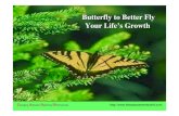 Butterfly To Better Fly Your Lifes Growth