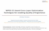 MPEG-21-based Cross-Layer Optimization Techniques for enabling Quality of Experience