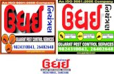 Gujarat Pest Control Services _Kalol