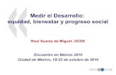 Raul Suarez de miguel OCDE