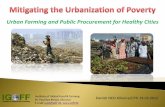 Mitigating The Urbanization Of Poverty   Urban Farming & Public Food Procurement For Healthy Cities