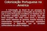 Colonização portuguesa na américa
