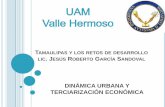 Tamaulipas y los retos de desarrollo