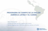 Programa de campo de la FAO en América Latina y el Caribe