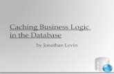 Caching Business Logic in the Database