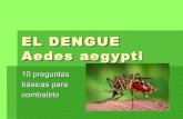 El dengue anzor