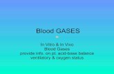 Voxx Blood Gases.1