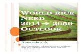 World need rice & food in 2050 outlook