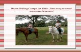 Horse riding camps for kids best way to teach amateurs learners!