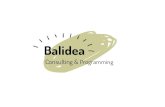 Presentación Balidea (Español)