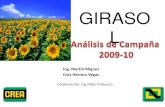 Análisis de Campaña Girasol 09-10
