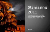 Stargazing  2011