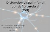 Disfunción Visual Funcional por Daño Cerebral 1