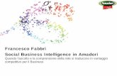 Social Business Intelligence in Amadori