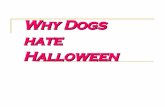 por que los perros odian halloween