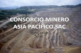 Mining prospect manganese, DEPISA I