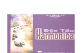 Độc tấu Harmonica