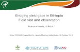 Bridging yield gaps in Ethiopia: Field visit and observations