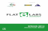 Flat6Labs Jeddah Spring 2014 | Investor Brief