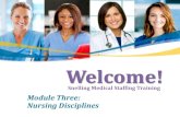 Module #3a nursing disciplines overview