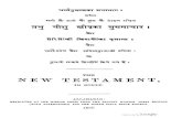 Hindi bible   new testament