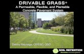 Georgia DOT Drivable Grass 3 27-14