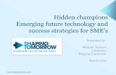 Hidden champions Emerging future technology and success strategies for SME's