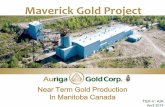 Auriga Gold Corp. (AIA.V) - Maverick Gold Project Presentation May 2014