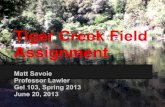 Tiger creek field assignment