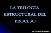 TrilogíA Estructural Del Proceso