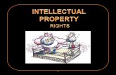 Intellectual property right