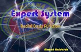 Radial Basis Function Network (RBFN)