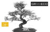 Ligustrum bonsai tree_2_d