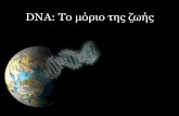 Δομή και Αντιγραφή DNA