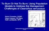 To Burn Or Not To Burn: Using Population Models to Address the Management Challenges of Ceanothus verrucosus