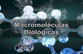 Macromoléculas biológicas