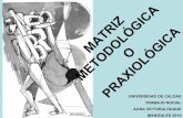 Matriz metodológica o praxiológica