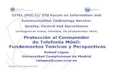 Protección al Consumidor: Fundamentos Teóricos y Perspectivas- Rafael López
