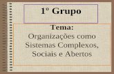 Organizações como Sistemas Complexos, Sociais e Abertos