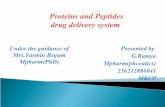 Protein drug delivery systems2