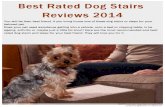 Best Rated Dog Stairs Reviews 2014