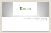 Bio fuel science project